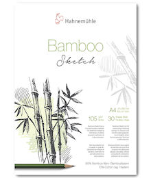 Bamboo Sketch