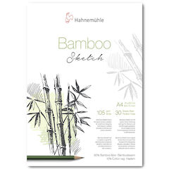 Bamboo Sketch